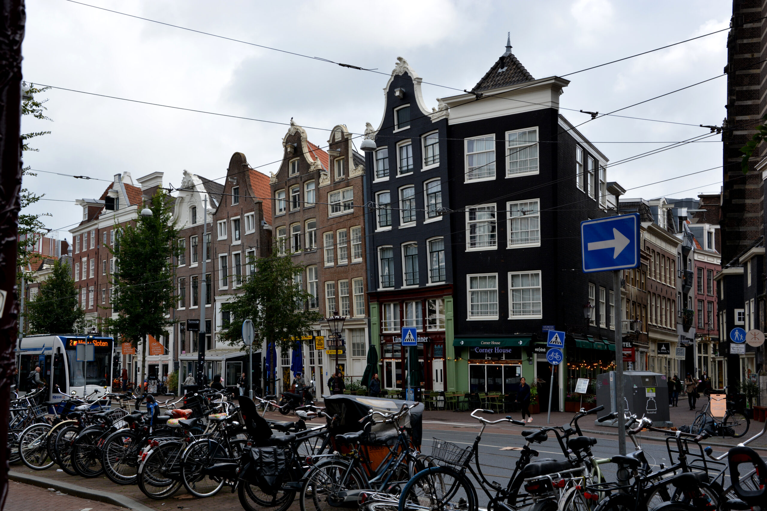 DSC_0977